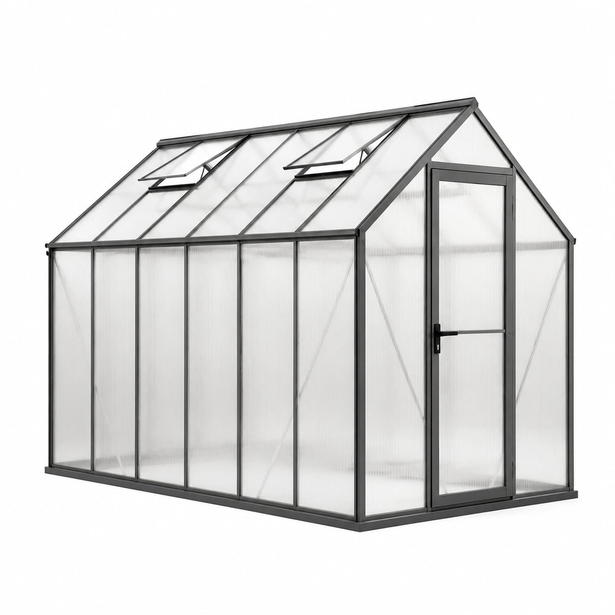 Serre aluminium et polycarbonate 310x190x230 cm
