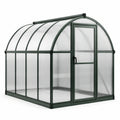 Serre de Jardin en Polycarbonate et Aluminium Vert/Transparent