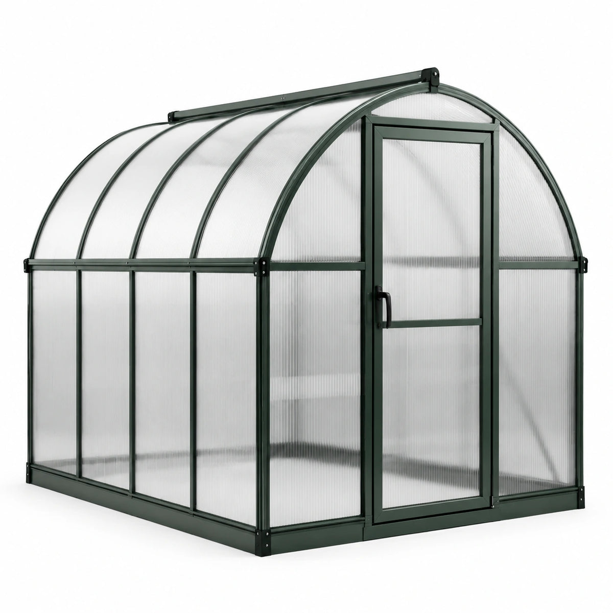 Serre de Jardin en Polycarbonate et Aluminium Vert/Transparent